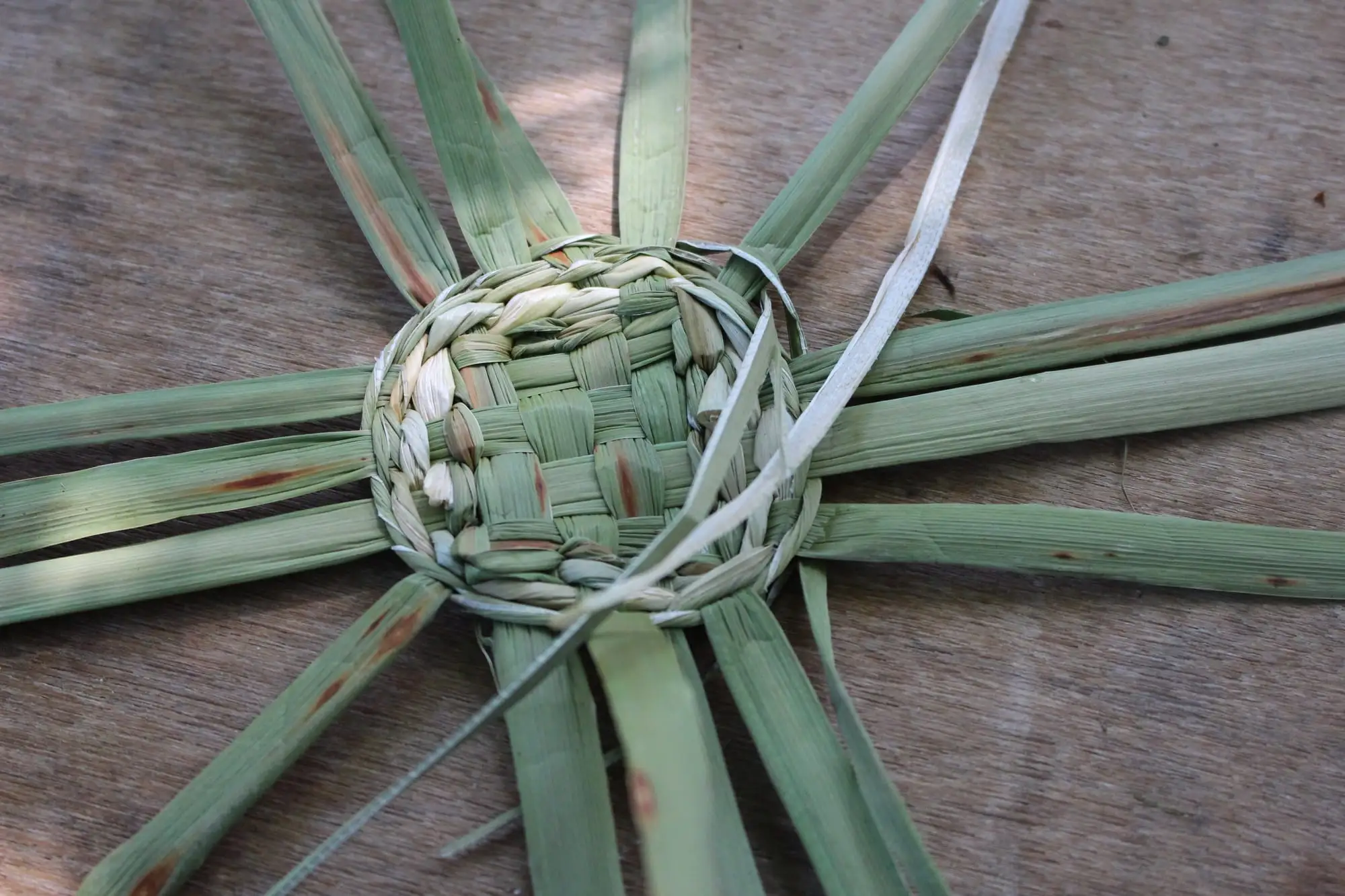 Billede fra BASKET WEAVING