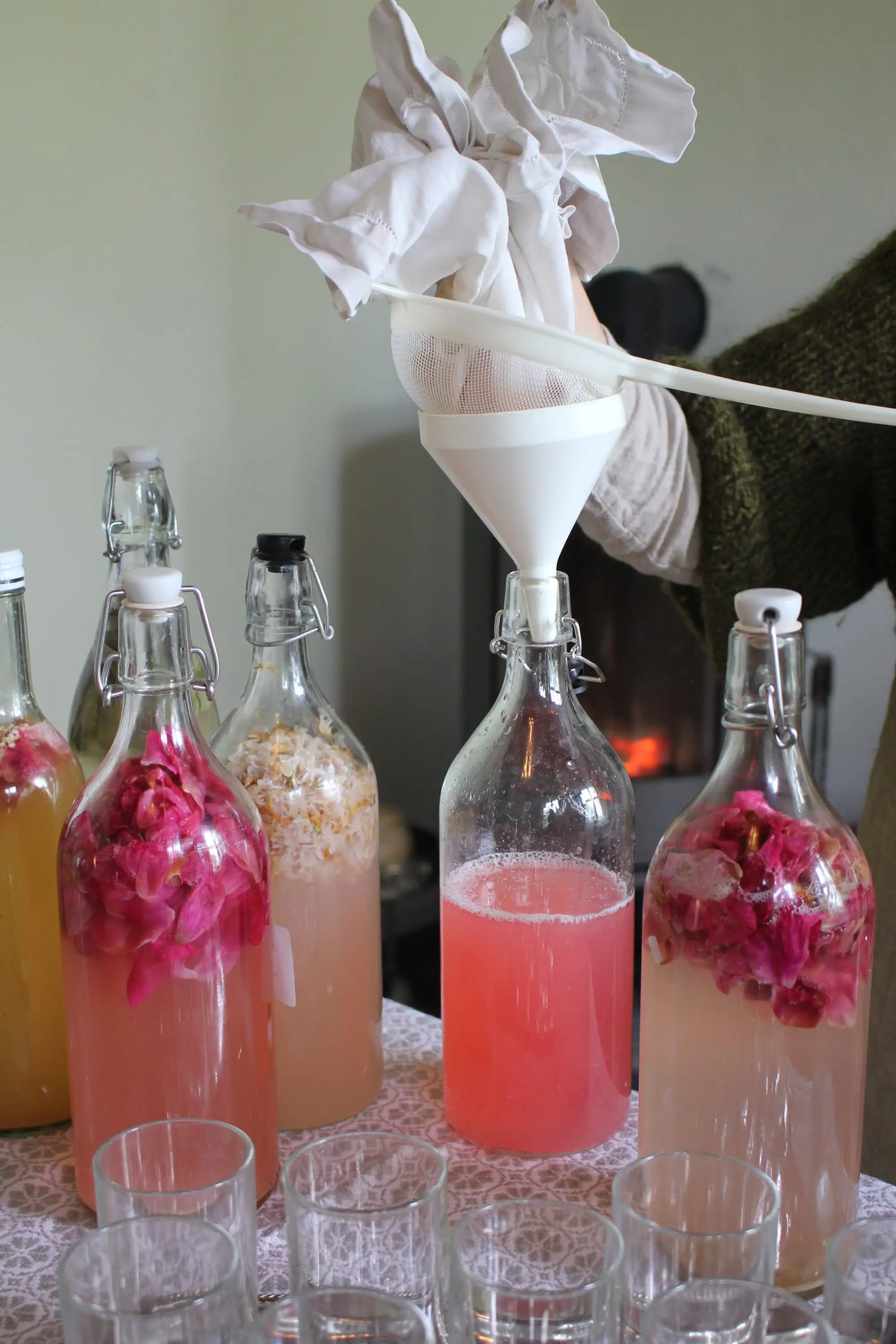 Billede fra VILD FERMENTERING