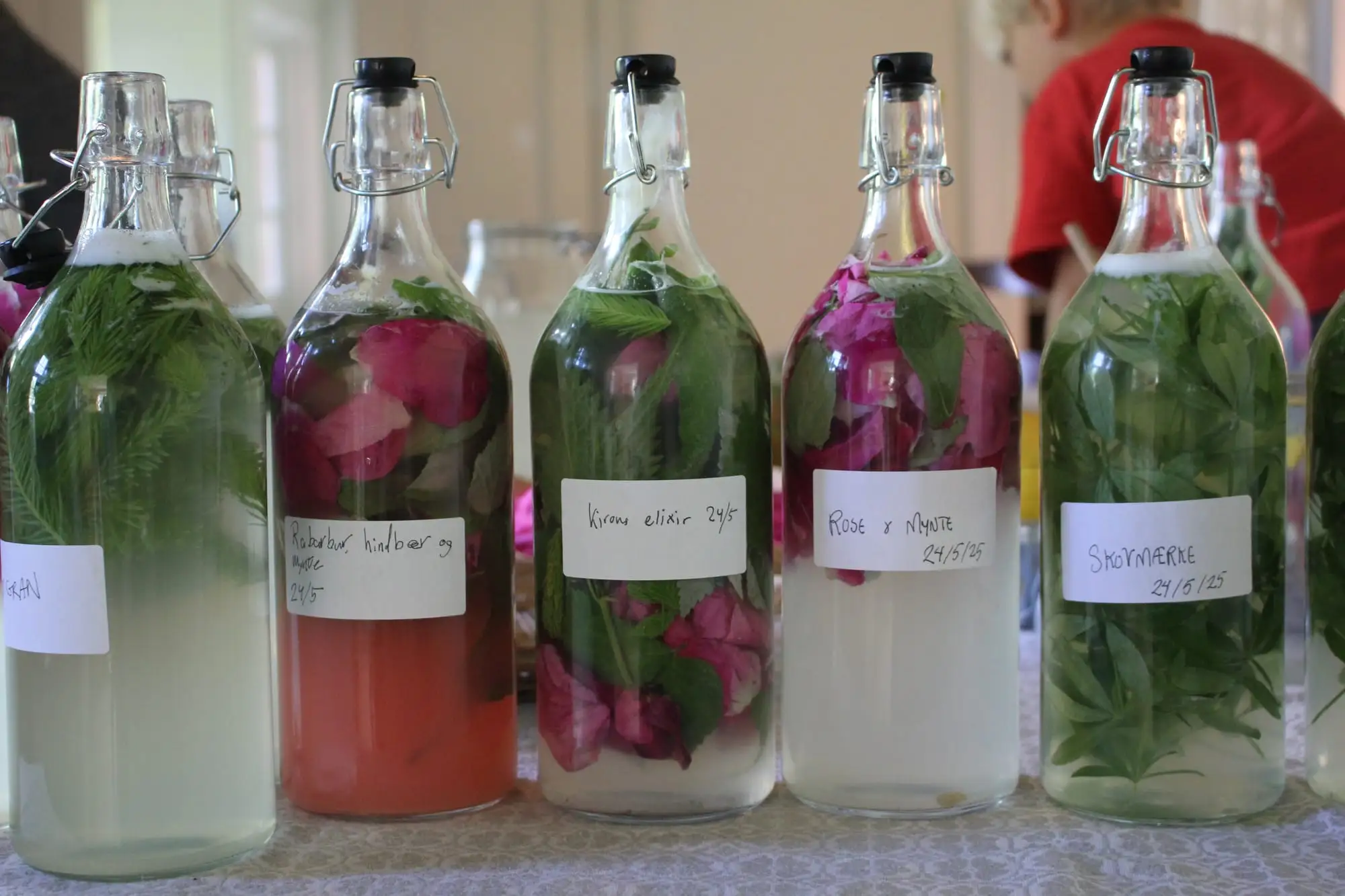 Billede fra VILD FERMENTERING