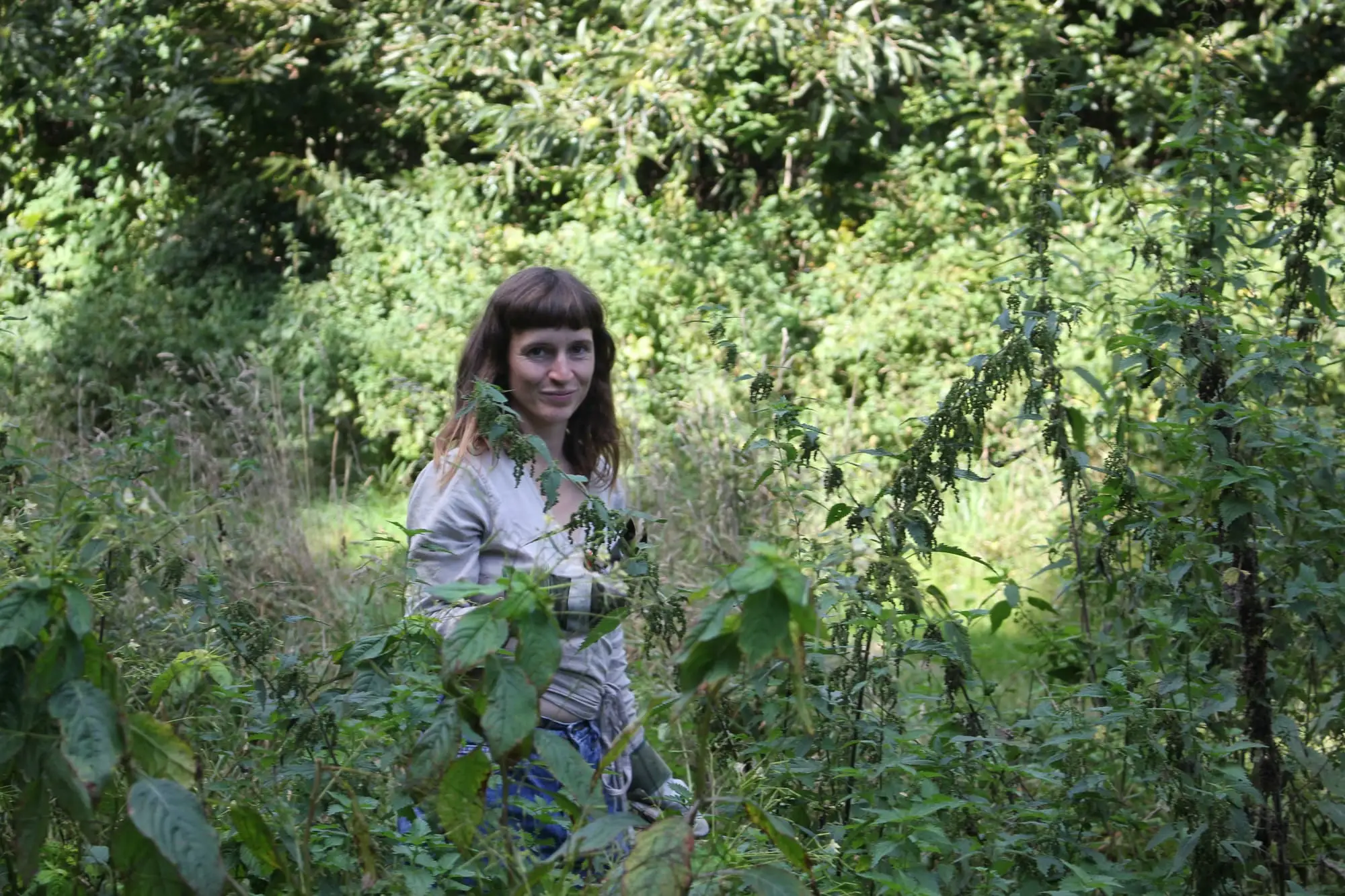 Billede fra NETTLE FIBRE