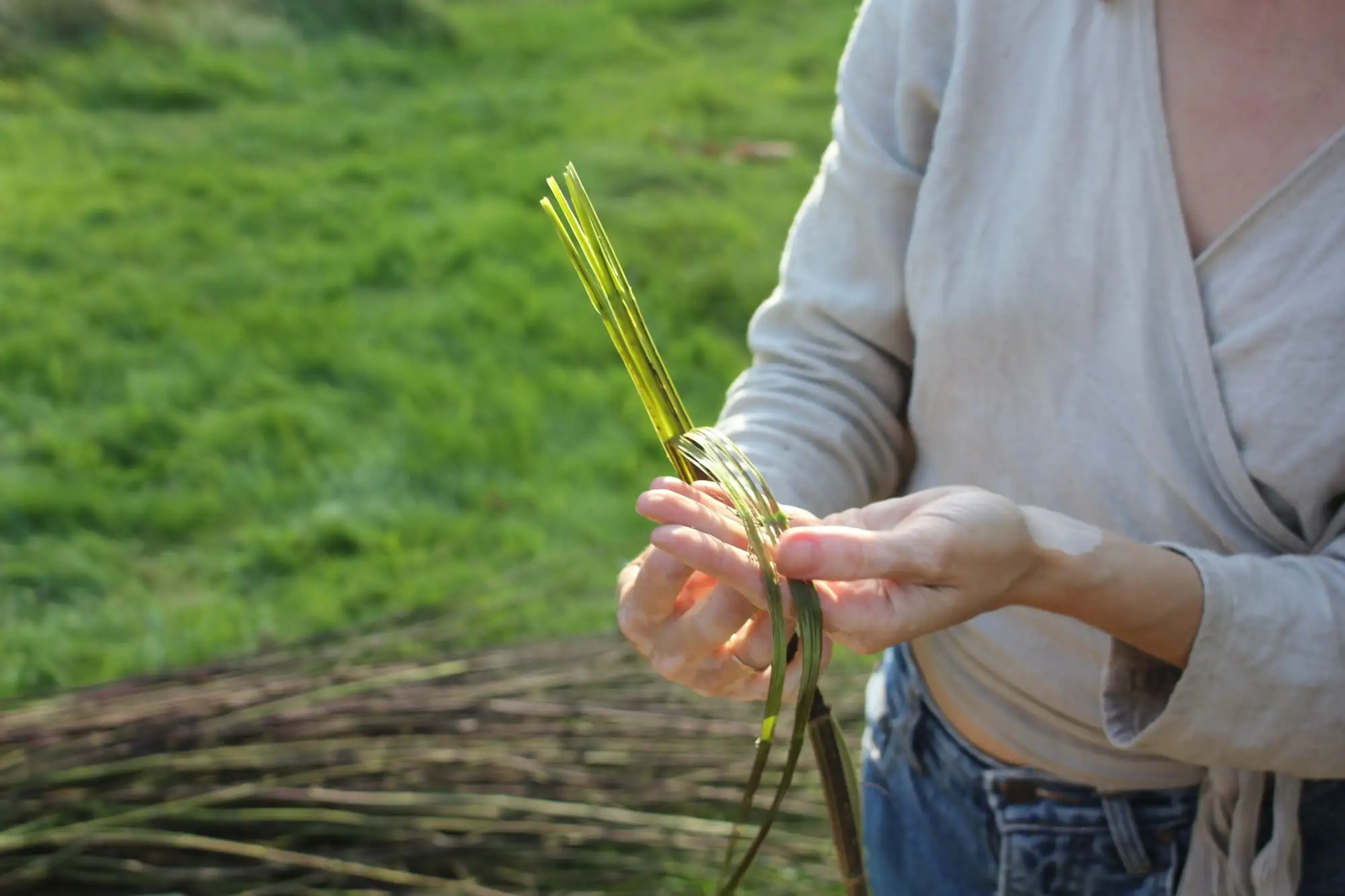 Billede fra NETTLE FIBRE