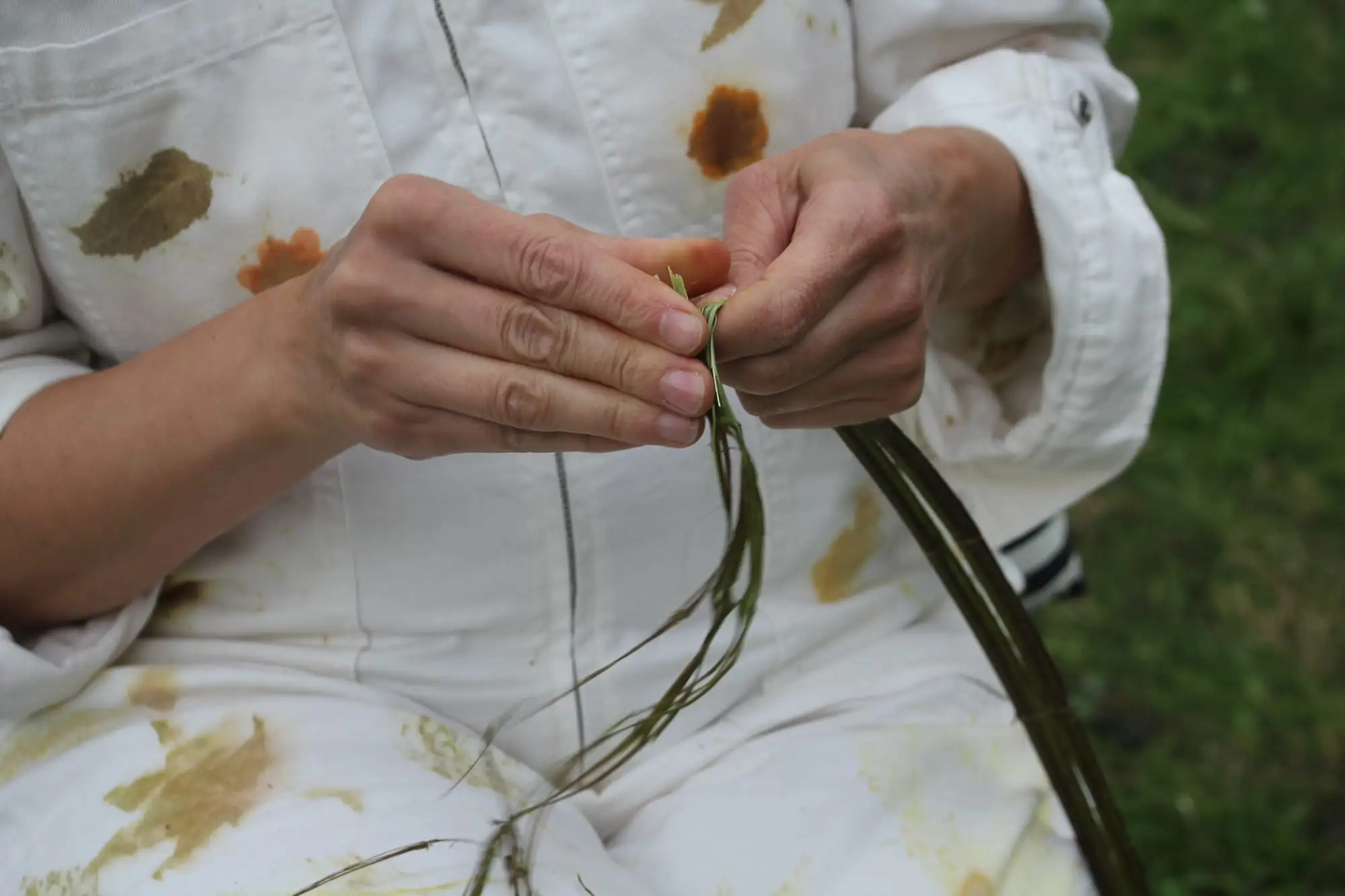 Billede fra NETTLE FIBRE
