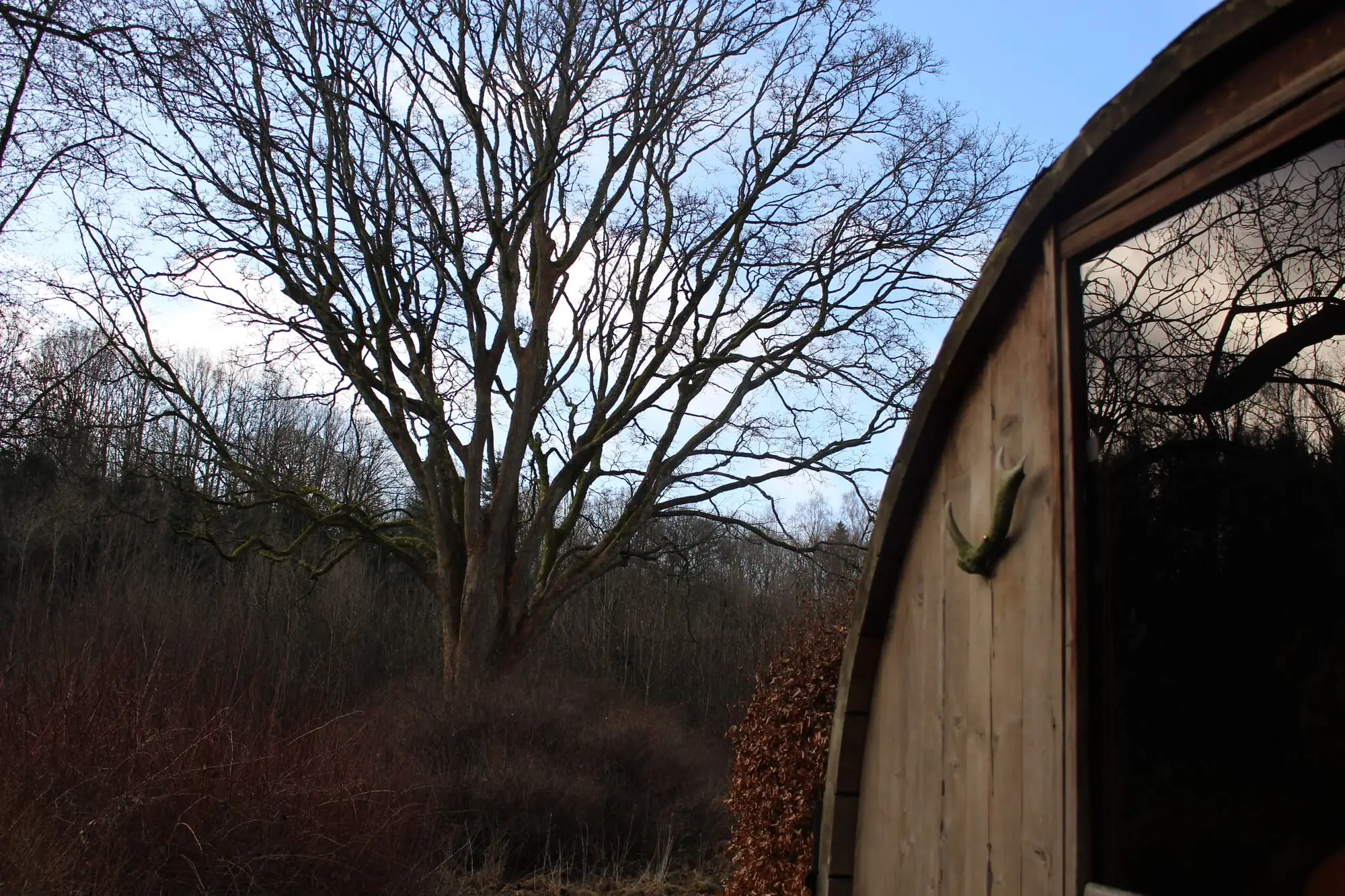 Billede fra SKOV SAUNA SKARRESØ