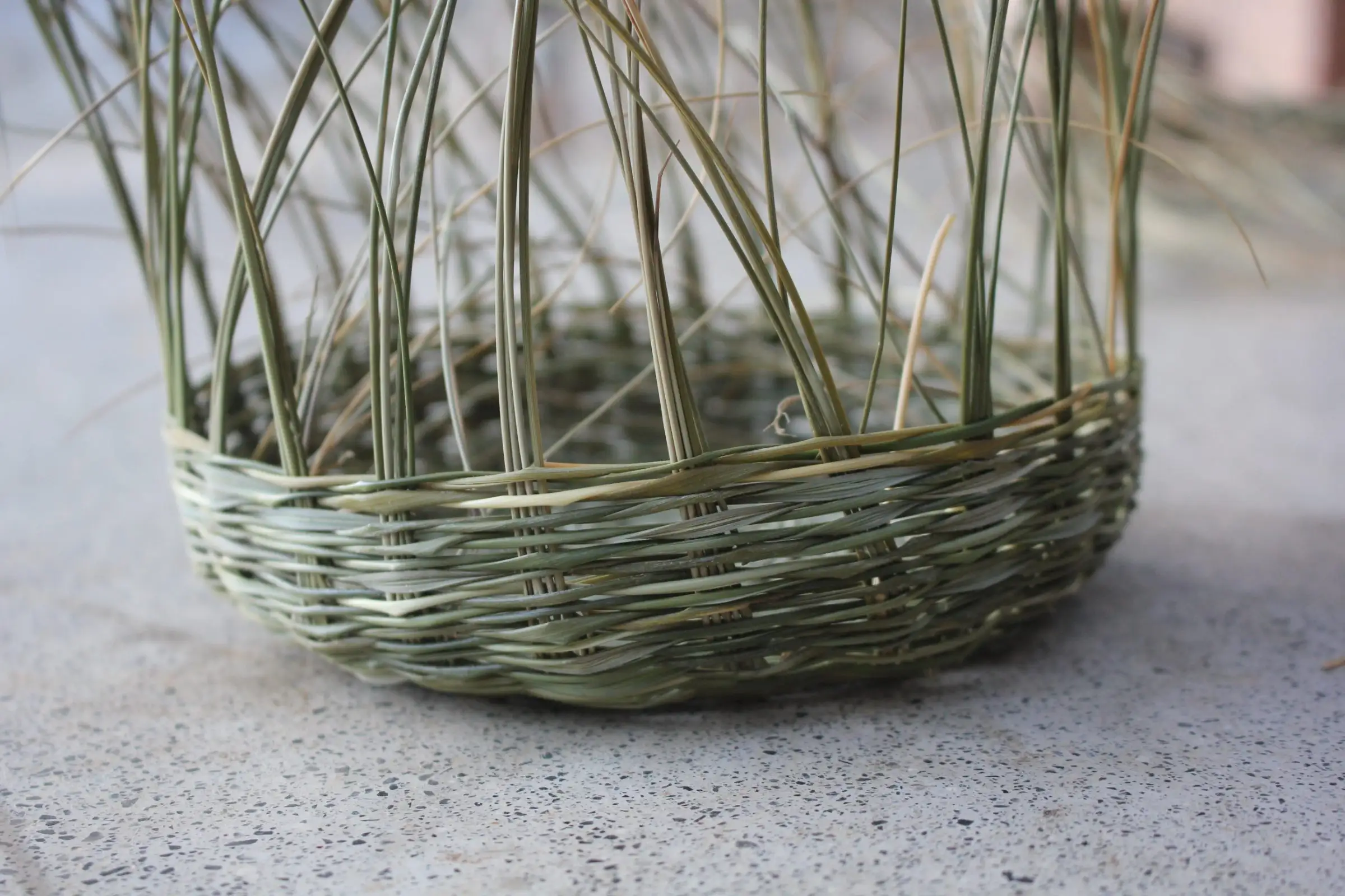 Basket weaving with esparto