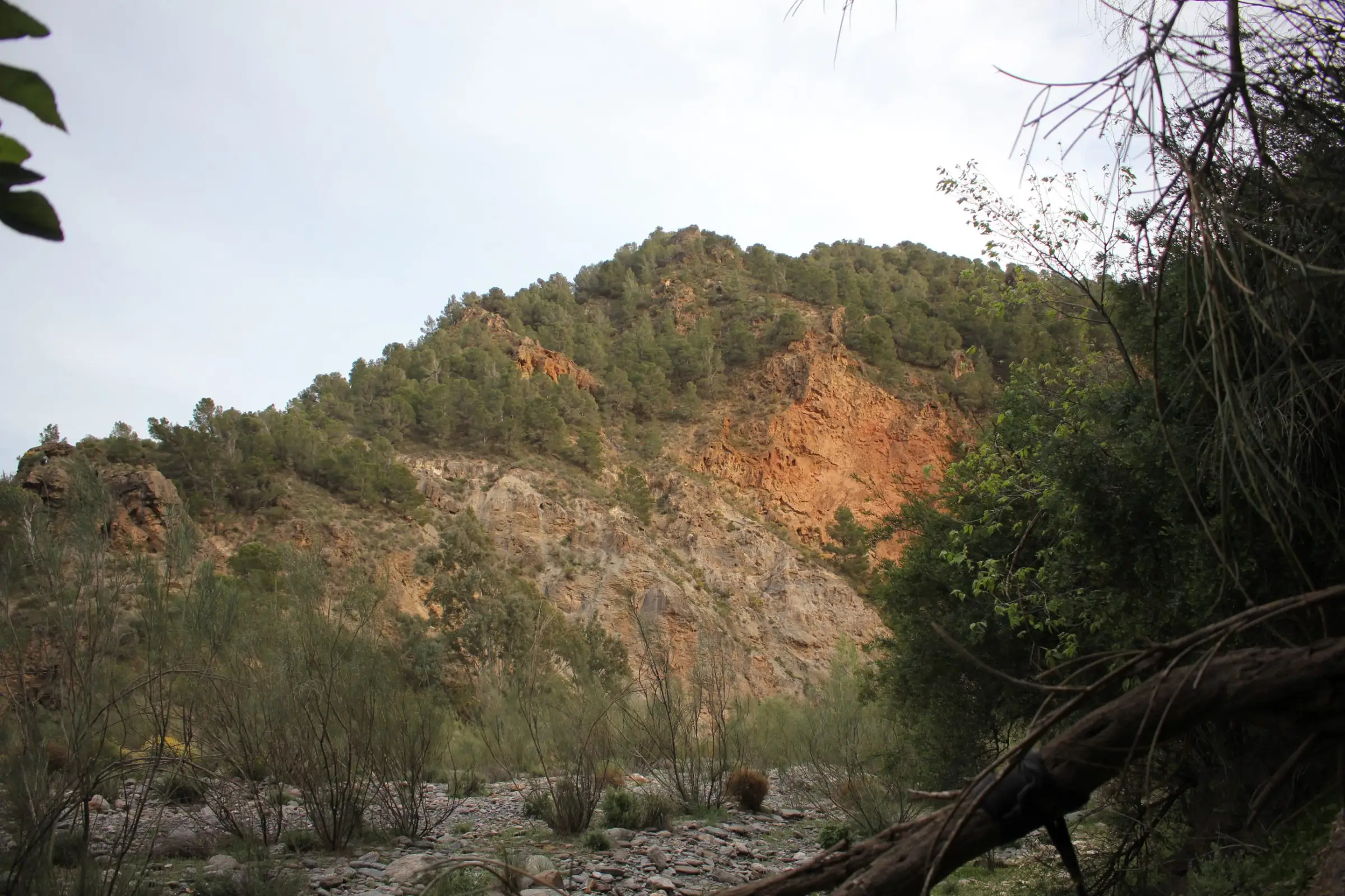 The mountains