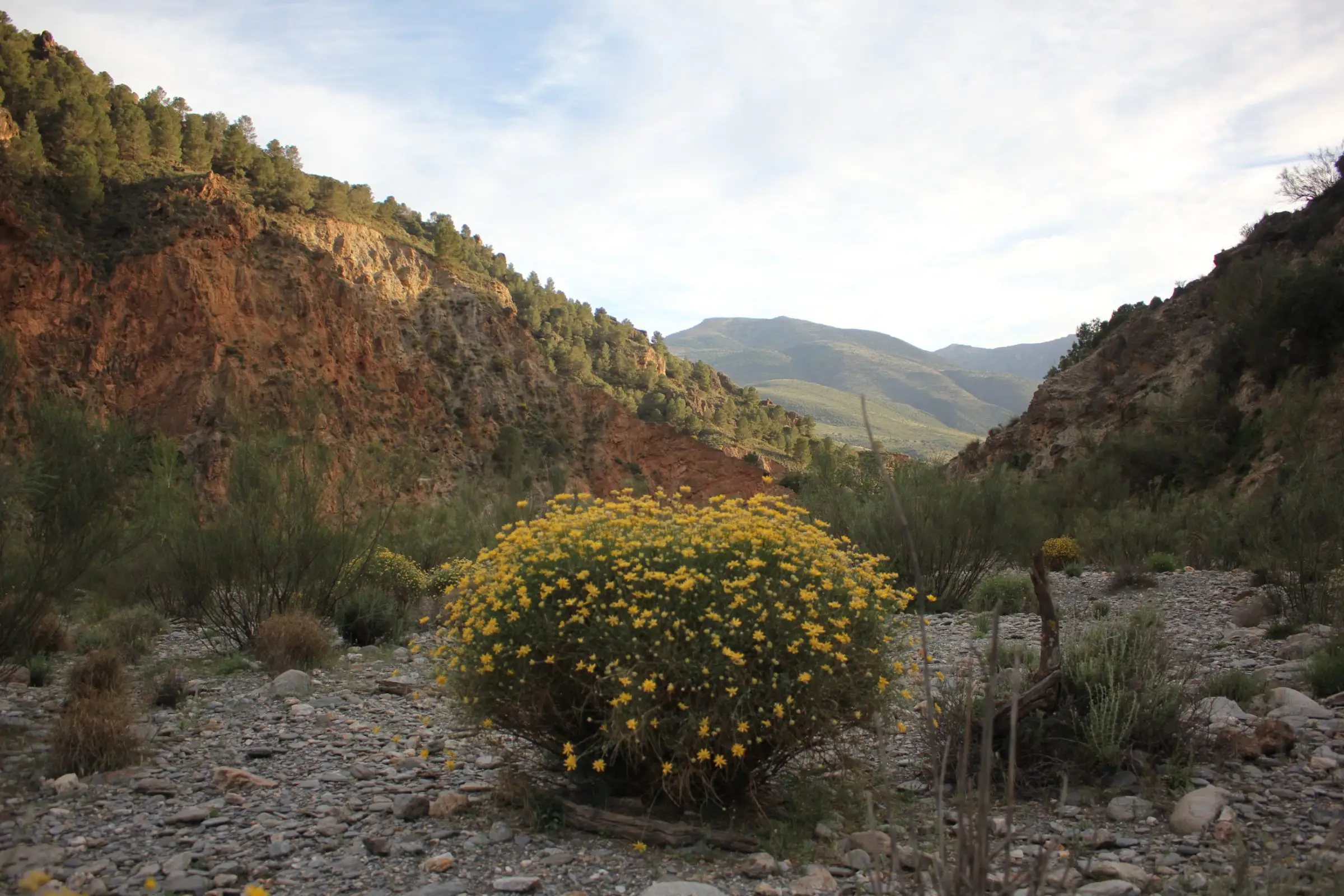 Sun, landscapes and walks