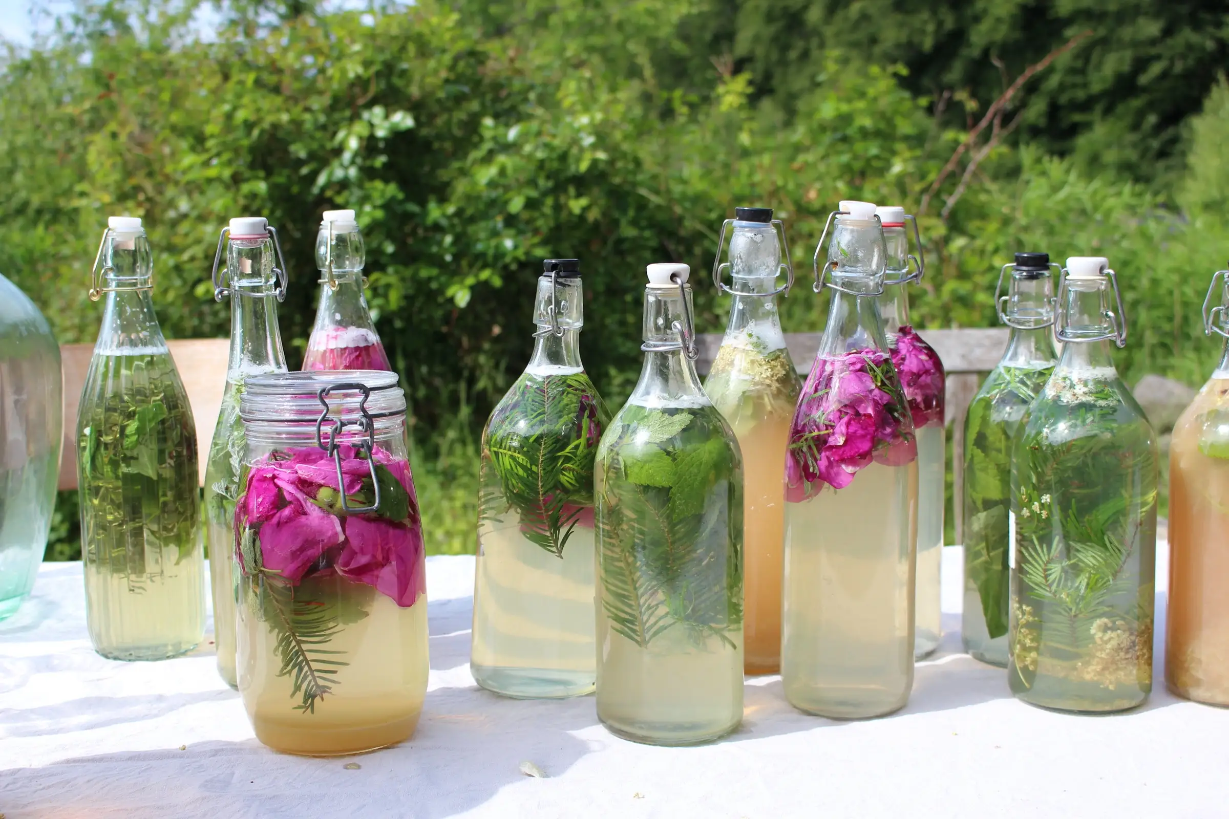 WILD FERMENTS