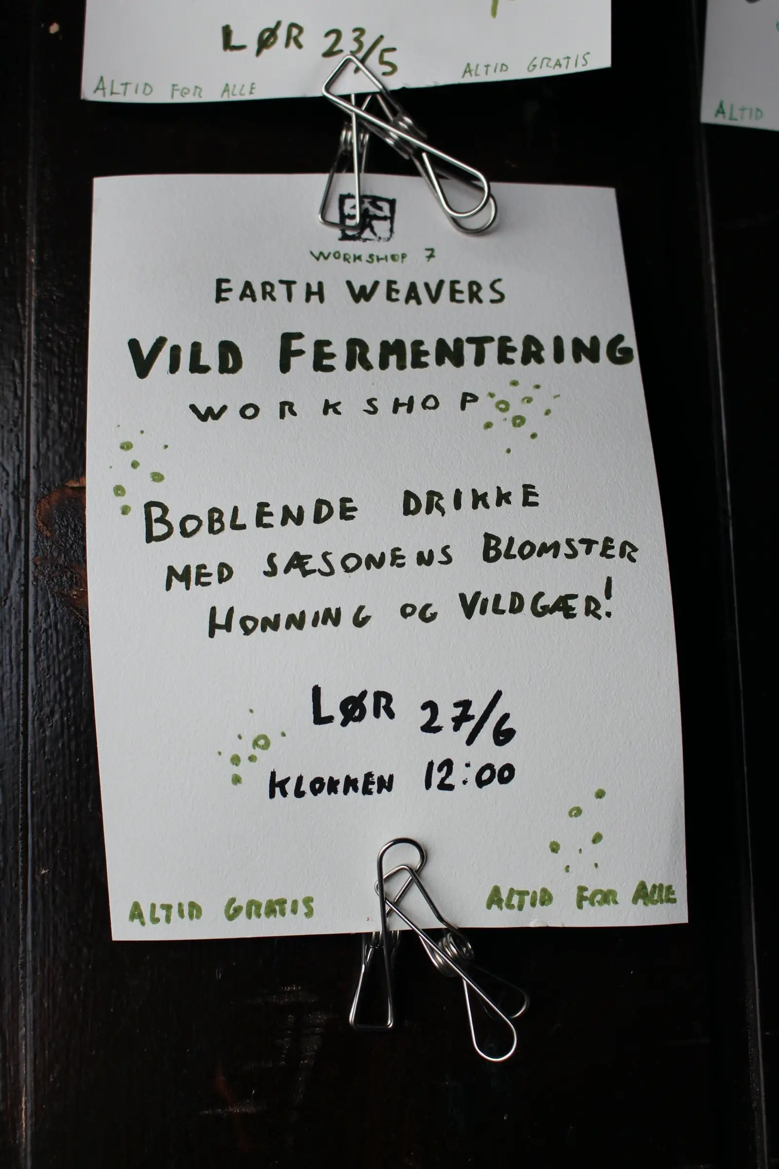 Billede fra VILD FERMENTERING / GRØNNE BØNNER