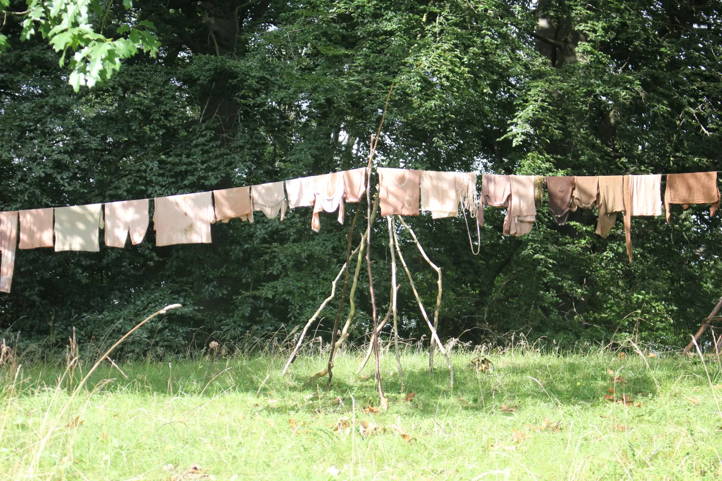 Billede fra PLANTEFARVE