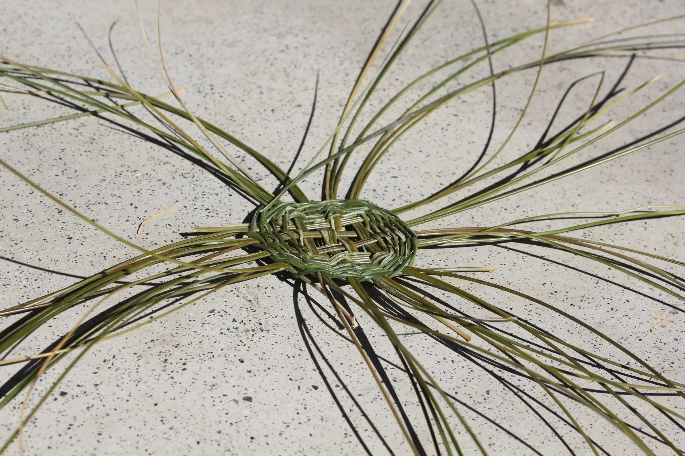 Billede fra BASKET WEAVING ALPUJARRA