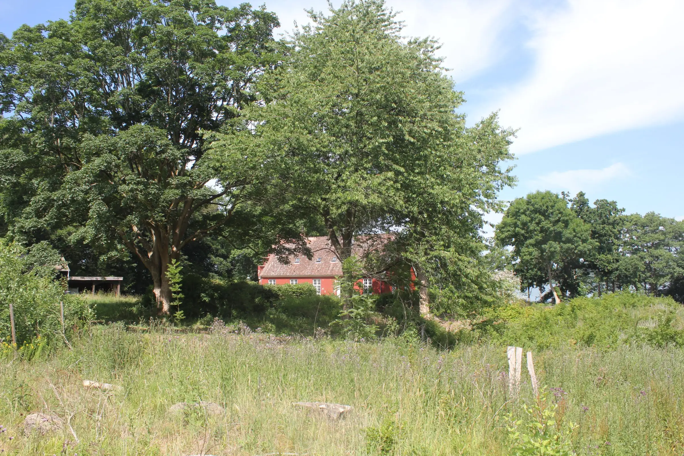 Billede fra SOMMER SOLHVERV