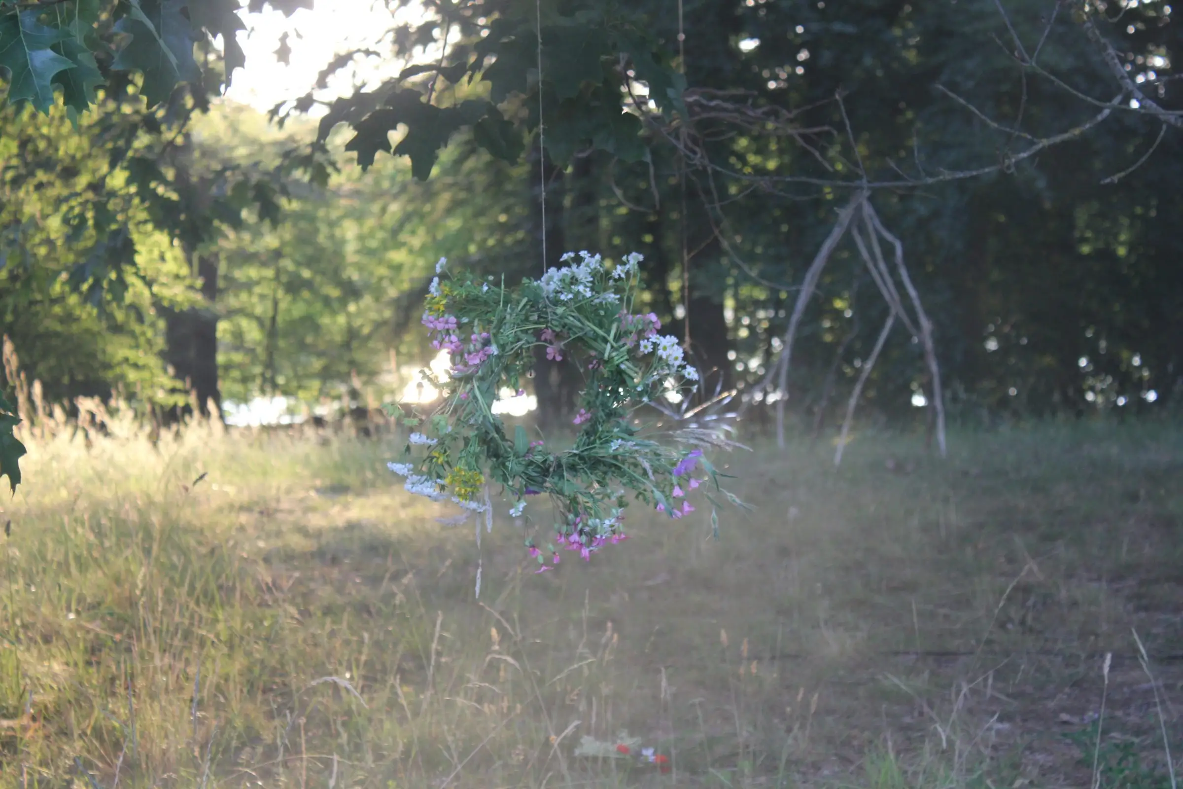 Billede fra SOMMER SOLHVERV
