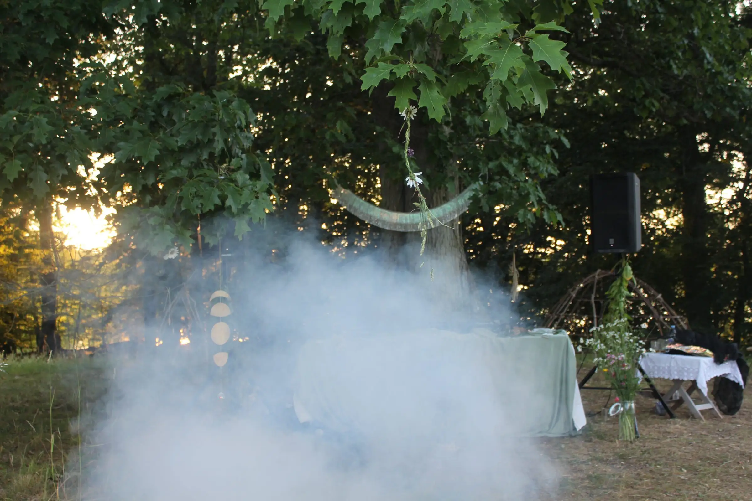 Billede fra SOMMER SOLHVERV