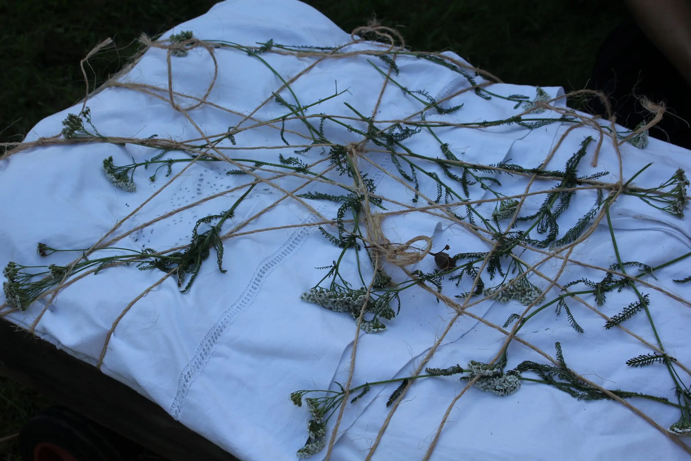Billede fra EARTH WEAVERS GATHERING