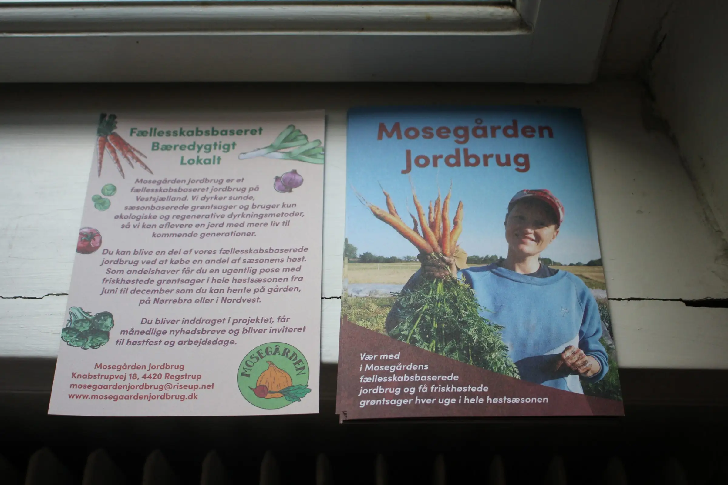 Billede fra EFTERÅRSJÆVNDØGN