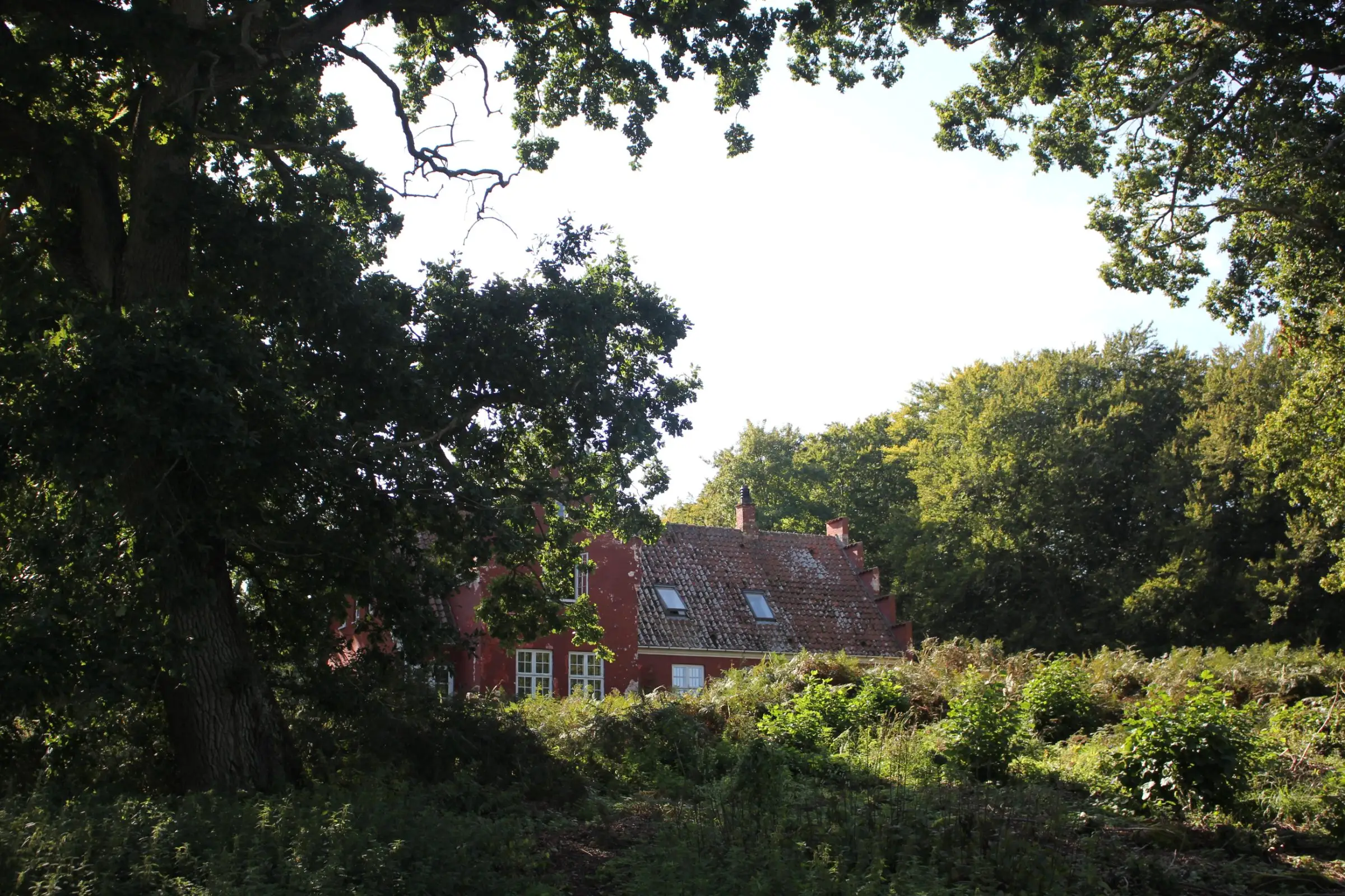 Billede fra EFTERÅRSJÆVNDØGN