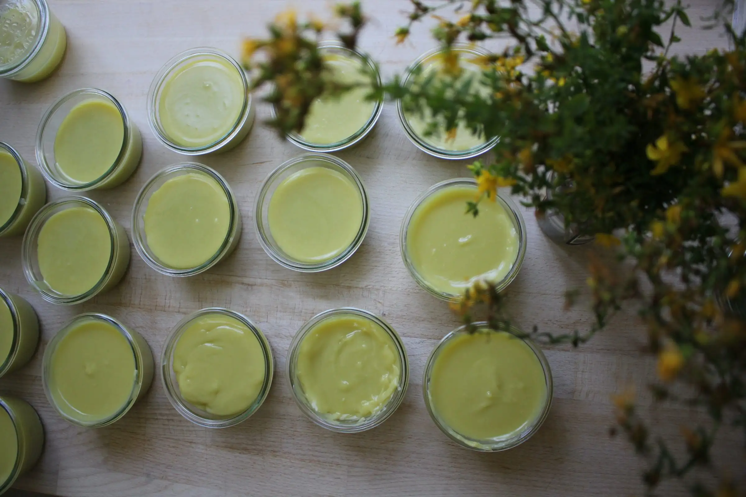 Billede fra PERIKON SALVE WORKSHOP